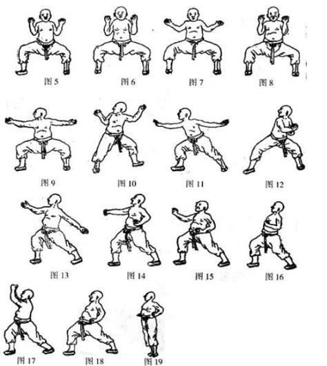 五行拳学五种动物|少林五形拳:簡介,起源,練法,虎形,蛇形,